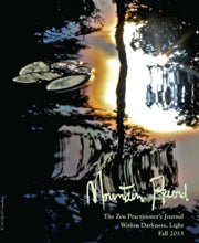 Load image into Gallery viewer, Within Darkness, Light - Mountain Record, Vol. 32.1, Fall 2013
