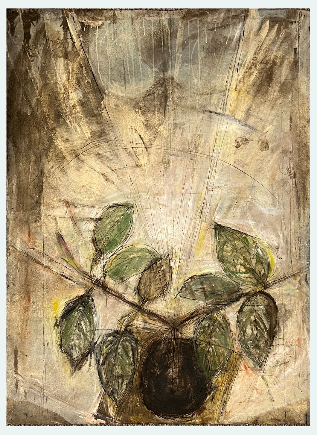 Plant