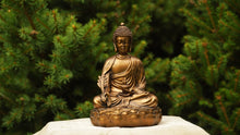 Load image into Gallery viewer, Bronze Medicine Buddha