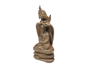 Buddha Seated on Naga