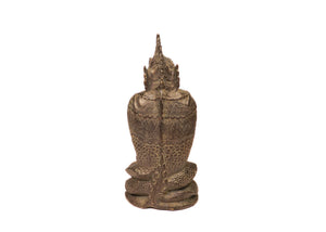Buddha Seated on Naga