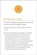 Load image into Gallery viewer, Pema Chodron&#39;s Compassion Cards