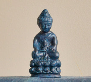 Little Medicine Buddhas