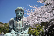 Load image into Gallery viewer, Buddha of Kamakura