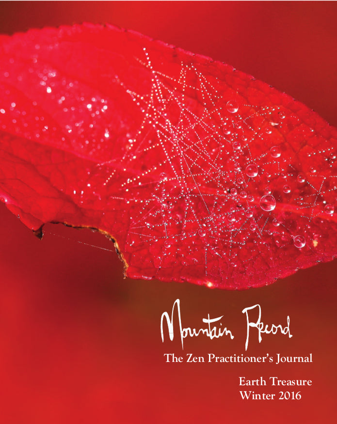 Earth Treasure - Mountain Record, Vol. 34.2, Winter 2016