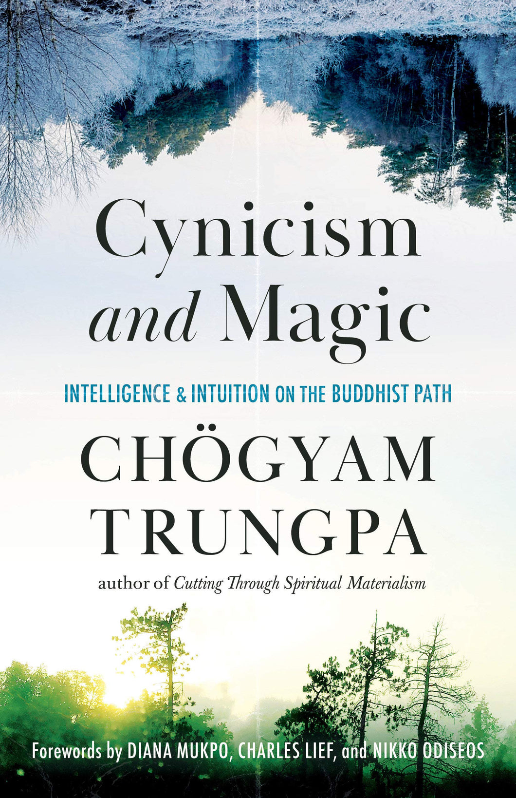 Cynicism and Magic: Intelligence and Intuition on the Buddhist Path