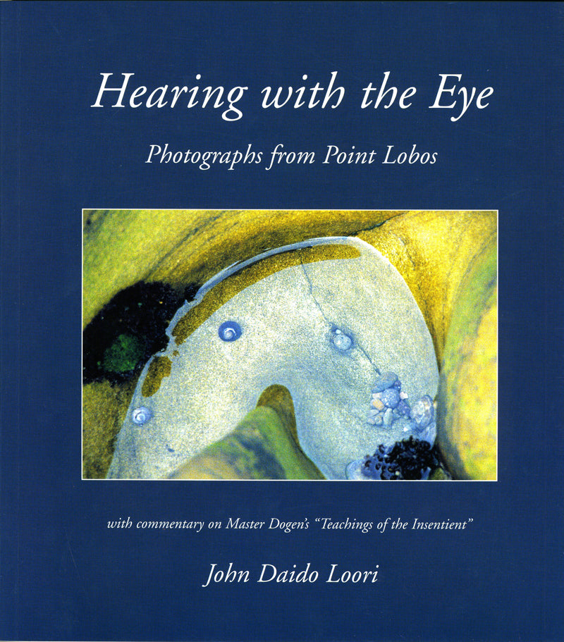 Hearing with the Eye: Photographs from Point Lobos