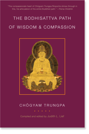 The Bodhisattva Path of Wisdom and Compassion  (The Profound Treasury of the Ocean of Dharma, Vol. 2)