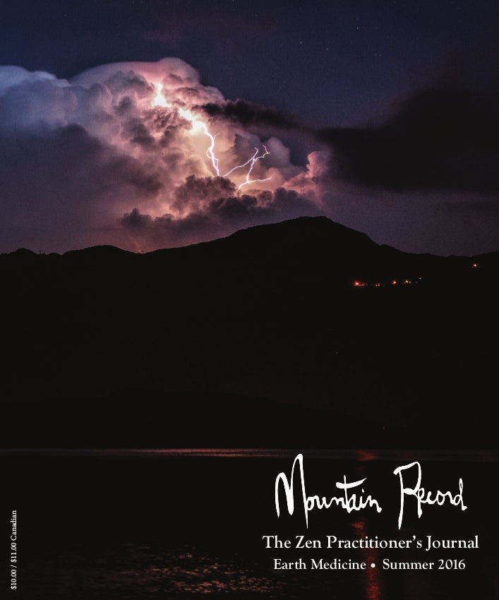 Earth Medicine - Mountain Record, Vol. 34.4, Summer 2016