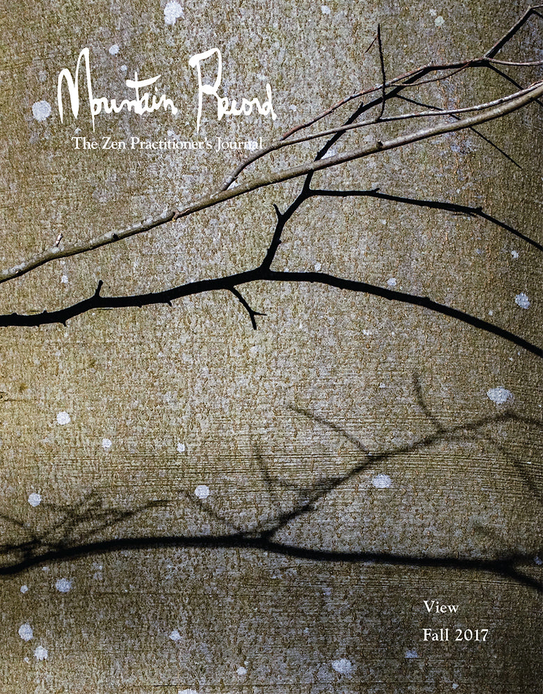 View - Mountain Record, Vol. 36.1, Fall 2017