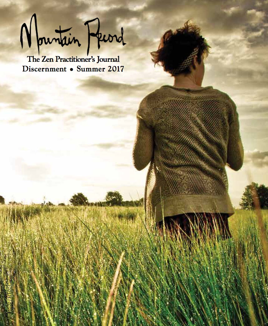 Discernment - Mountain Record, Vol. 35.4, Summer 2017