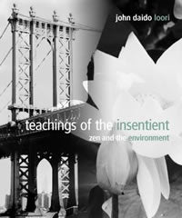Teachings of the Insentient: Zen and the Environment (minibook)