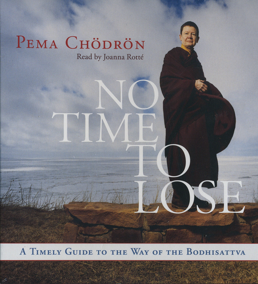 No Time to Lose: A Timely Guide to the Way of the Bodhisattva-Audiobook (CD)