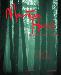 Mystic Earth - Mountain Record, Vol. XX, No. 3