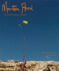 Great Determination - Mountain Record, Vol. 29.2, Winter 2012